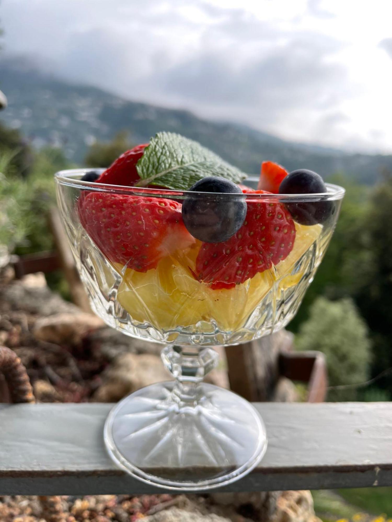 Au Pied Des Baous Bed & Breakfast Vence Exterior foto