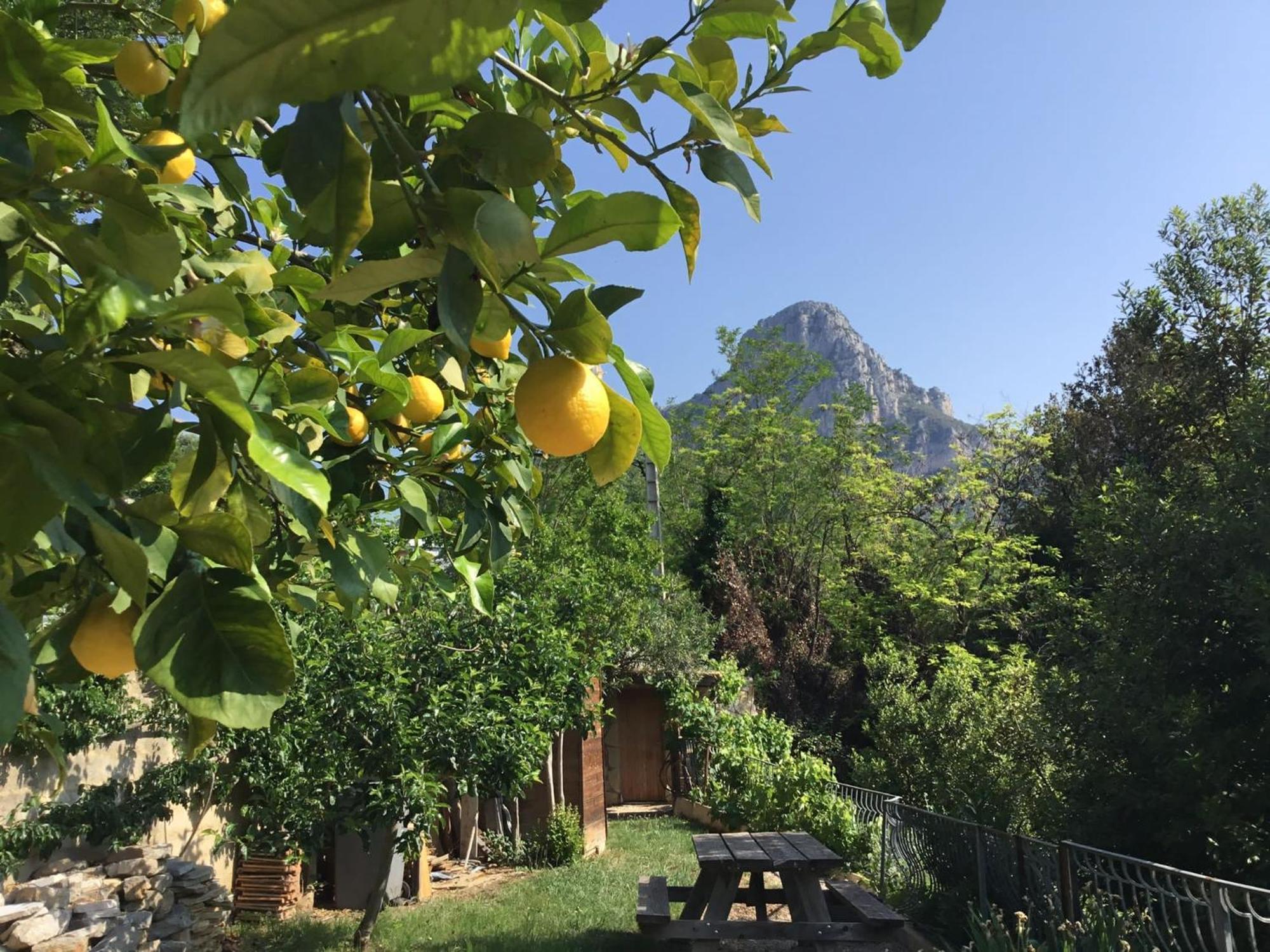 Au Pied Des Baous Bed & Breakfast Vence Exterior foto